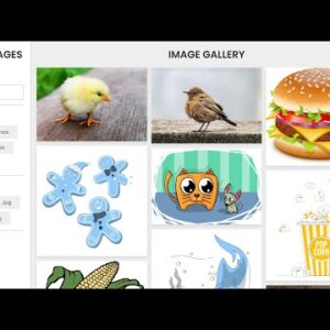 Advance Filterable Responsive Image Gallery Using HTML CSS and Vanilla JavaScript