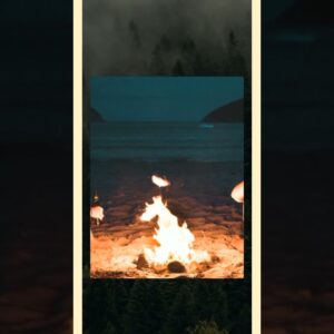 Responsive Travel Website | #shorts