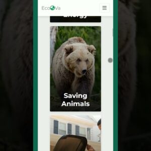 Responsive Save Environment Website | #shorts