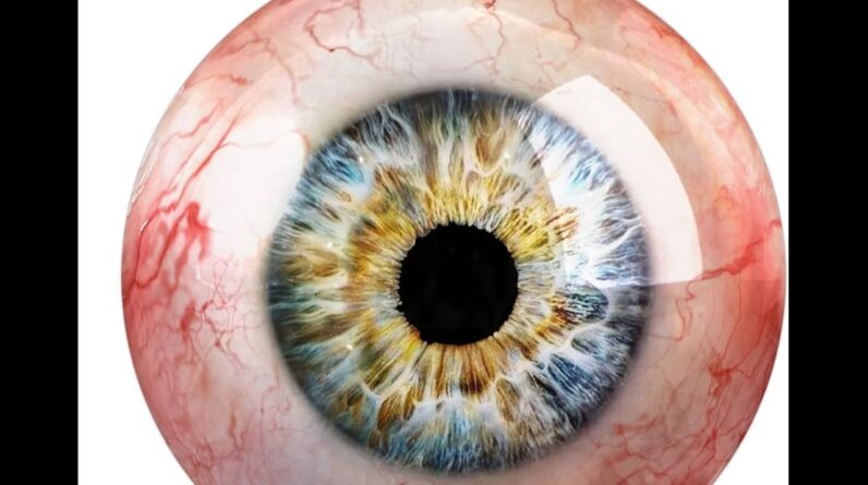 Chris Palmer SEO - Prive Mastermind